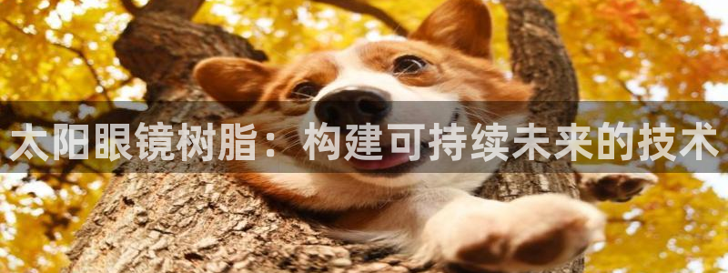 卧龙娱乐招商主管薪资