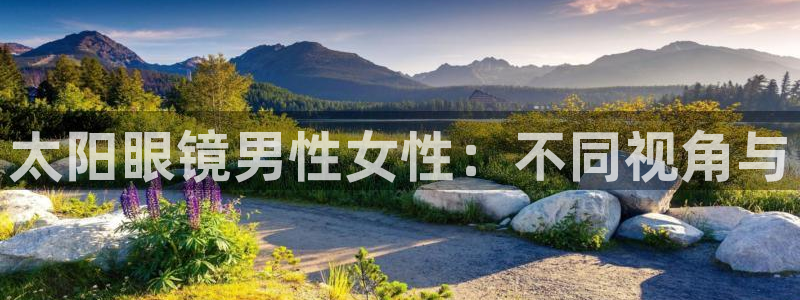 卧龙娱乐挂机软件下载