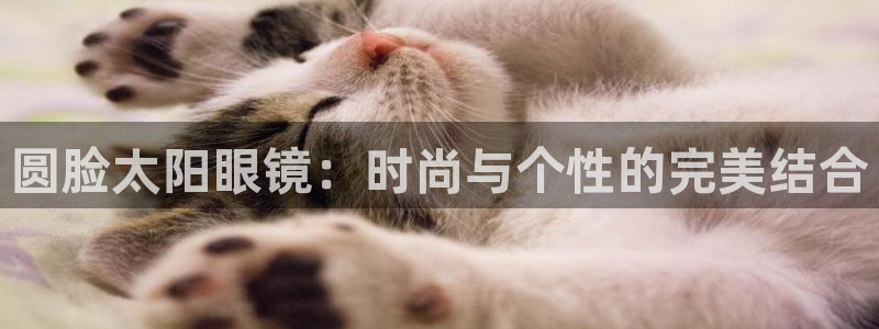 卧龙娱乐app下载安装