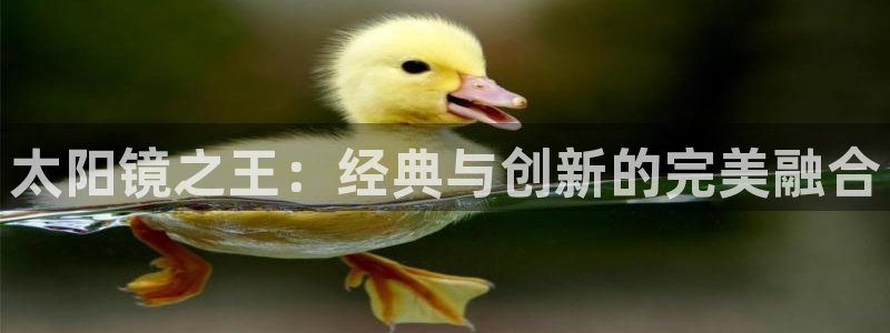 卧龙娱乐在线官网