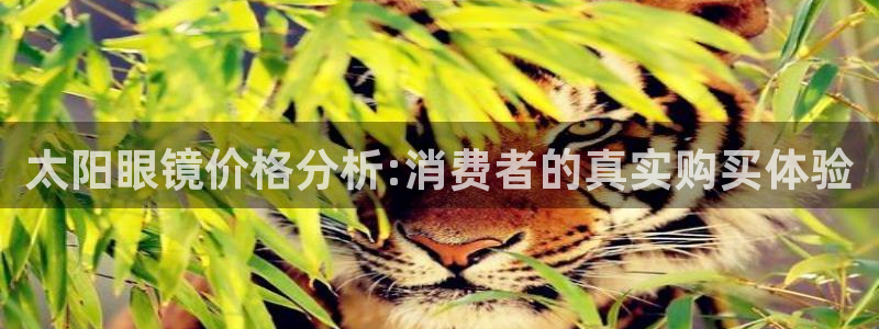柏林娱乐- 0 卧龙
