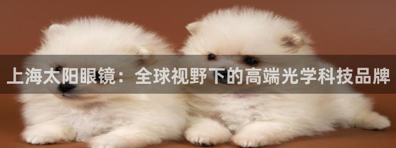 卧龙娱乐怎样
