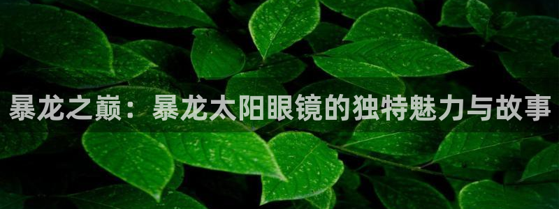 卧龙娱乐气垫项目投资