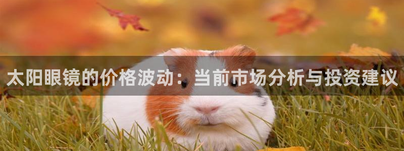 HR娱乐卧龙主管60447