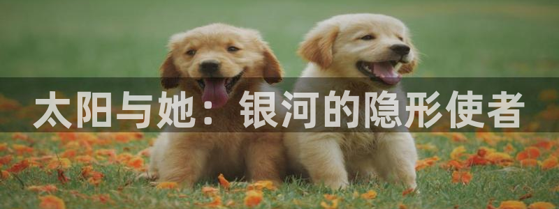 卧龙娱乐平台靠谱