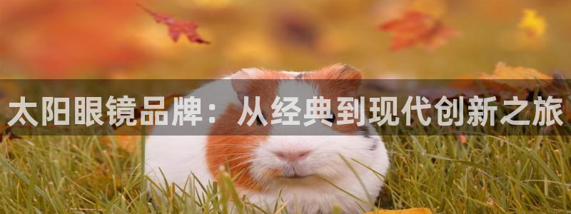 卧龙娱乐是真假吗