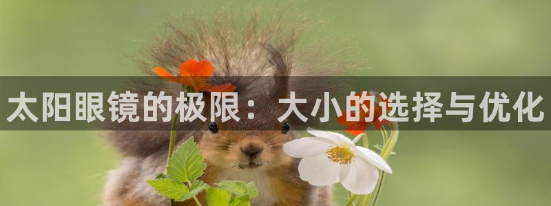 卧龙娱乐在线下载游戏