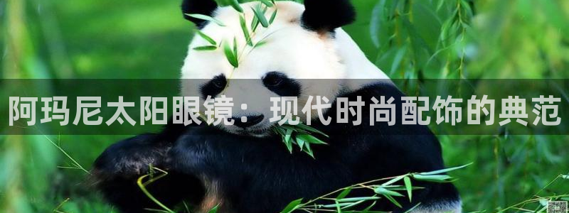 卧龙新款娱乐设备