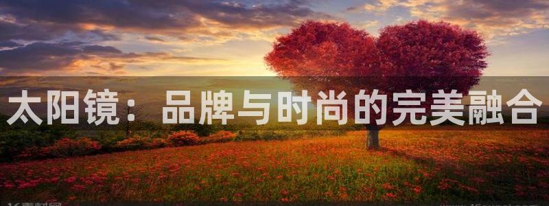 卧龙区凤凰娱乐