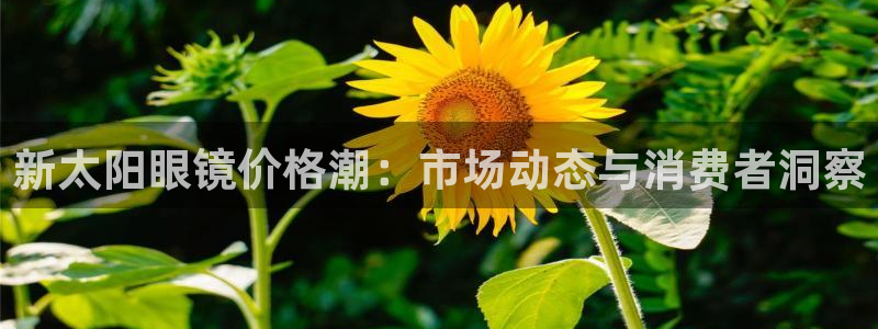 卧龙娱乐挂机平台有哪些