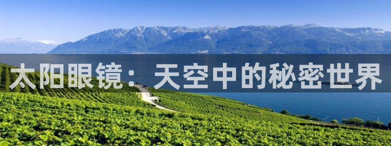 卧龙凤雏娱乐演员