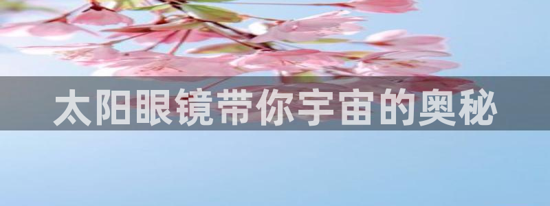 卧龙凤雏娱乐夫妻