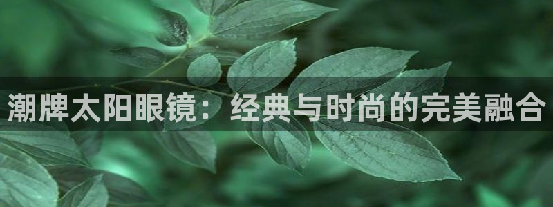 sky娱乐畅通卧龙86877