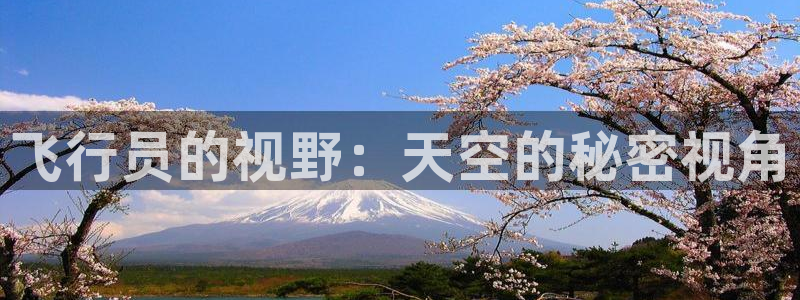 卧龙娱乐平台可靠吗