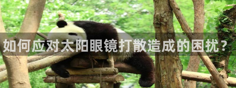 卧龙娱乐滴qv382223