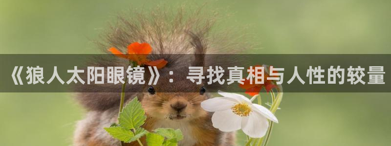 悉尼卧龙岗娱乐