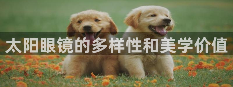 卧龙儿童娱乐海洋球