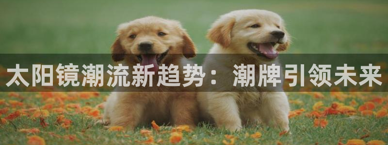 卧龙娱乐是不是骗子