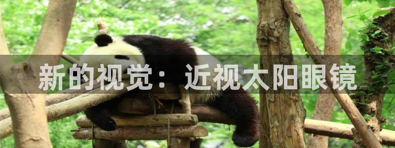 辣椒娱乐卧龙凤雏