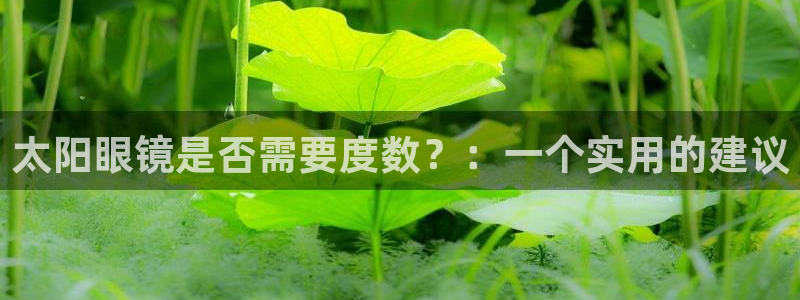 卧龙娱乐设备公司