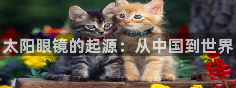 柏林娱乐 柏林卧龙 0