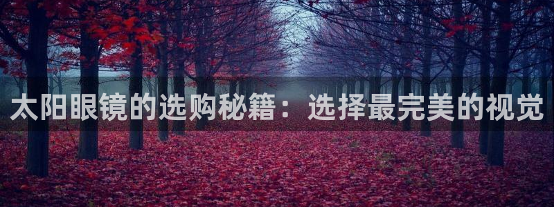 卧龙区夜晚娱乐