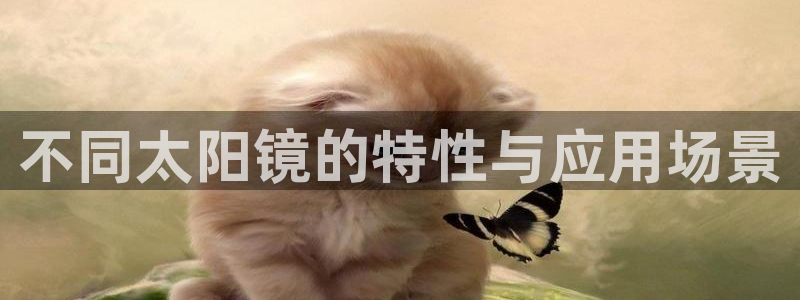 卧龙凤雏娱乐直播间