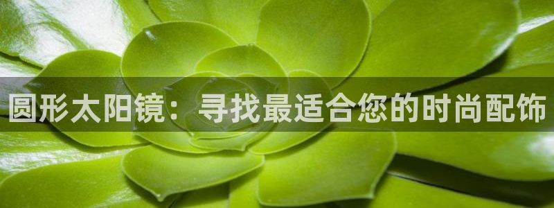 娱乐卧龙凤雏