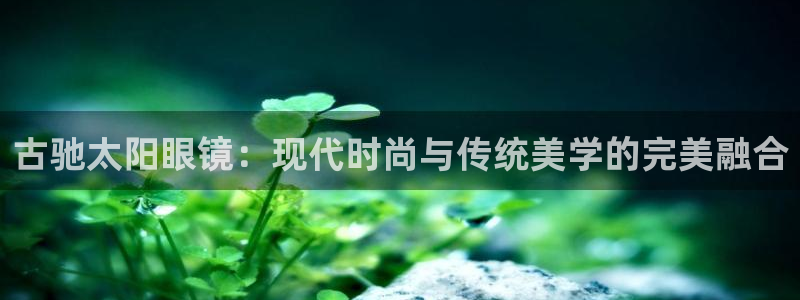 卧龙棋牌娱乐