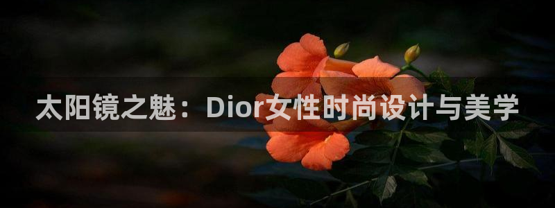 娱乐聚焦卧龙凤雏