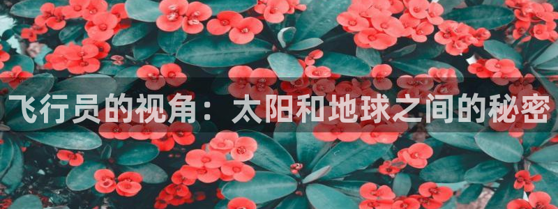 卧龙娱乐天