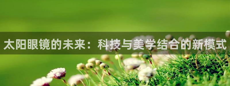 卧龙娱乐设备公司
