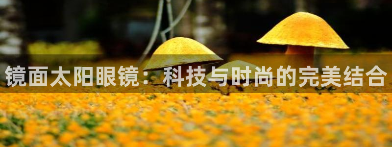 凤凰娱乐ktv卧龙路
