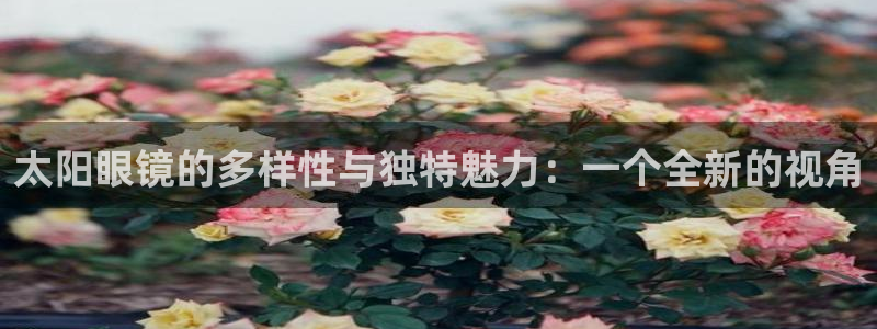 卧龙区夜晚娱乐