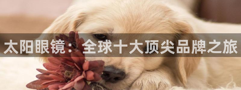 卧龙娱乐彩票