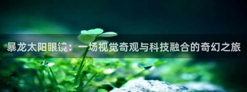 at娱乐 0 47卧龙