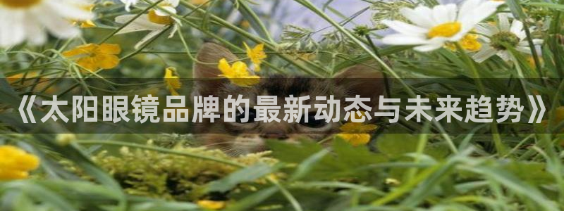 卧龙娱乐APP