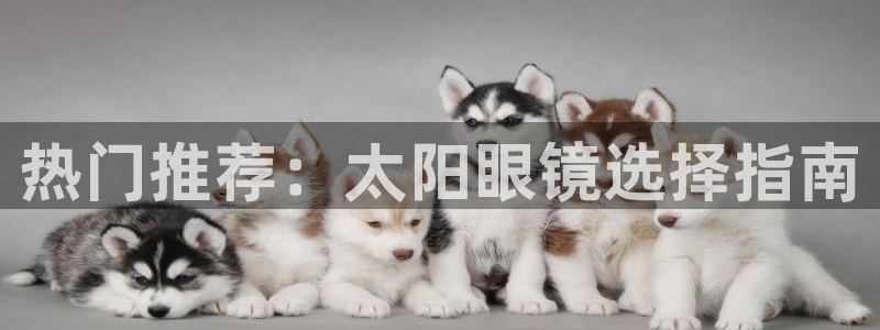 卧龙风雏娱乐