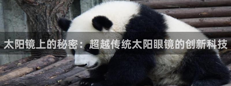 卧龙休闲娱乐收藏榜