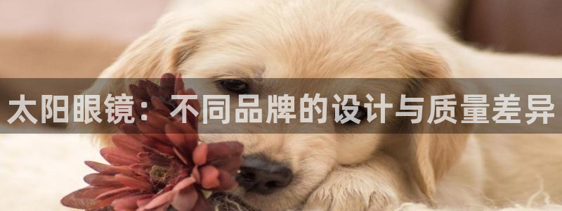 卧龙娱乐招商代理是谁