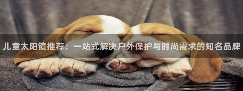 卧龙风雏娱乐