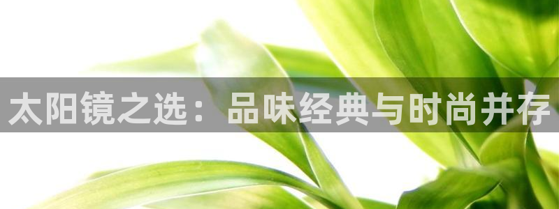 悉尼卧龙岗娱乐