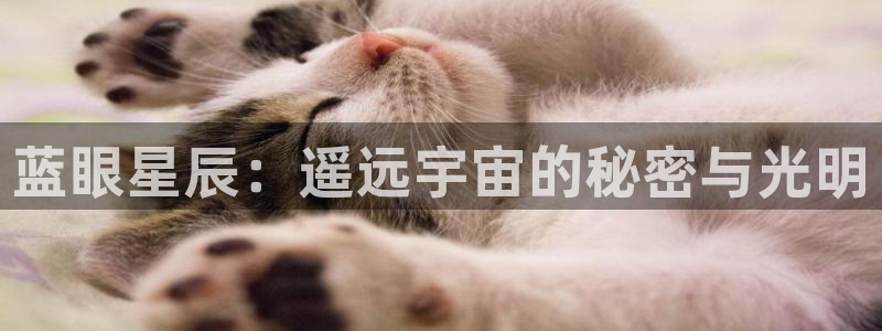 卧龙娱乐APP