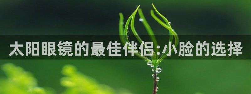 卧龙娱乐开户